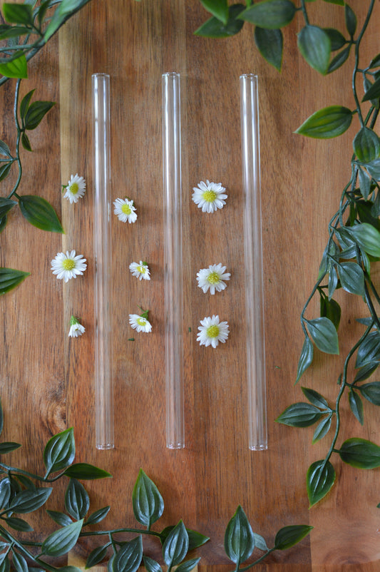 Clear Straight Reusable Glass Straw