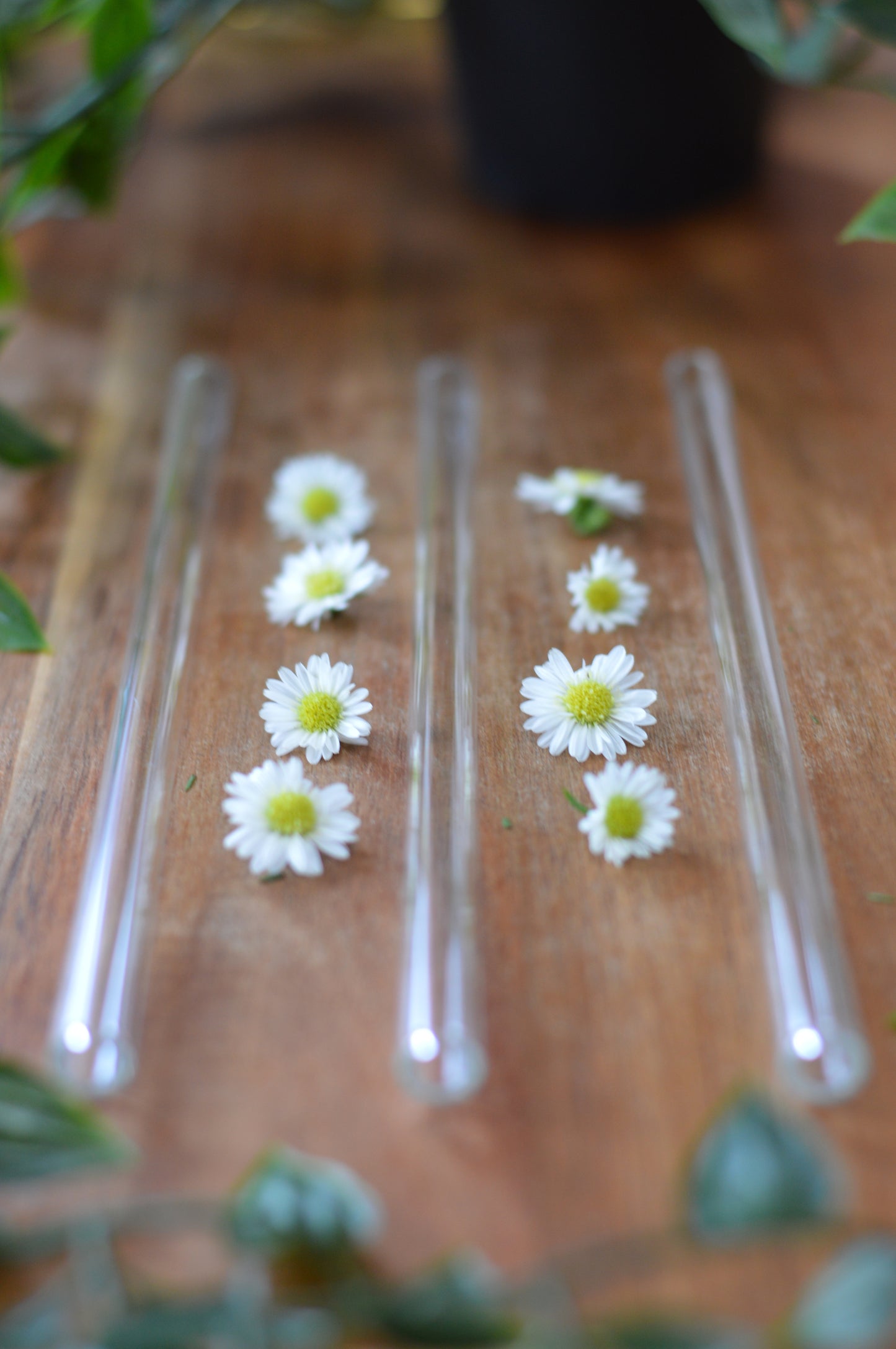 Clear Straight Reusable Glass Straw